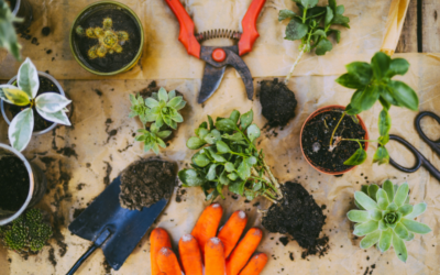 The joy (and benefits) of pottering